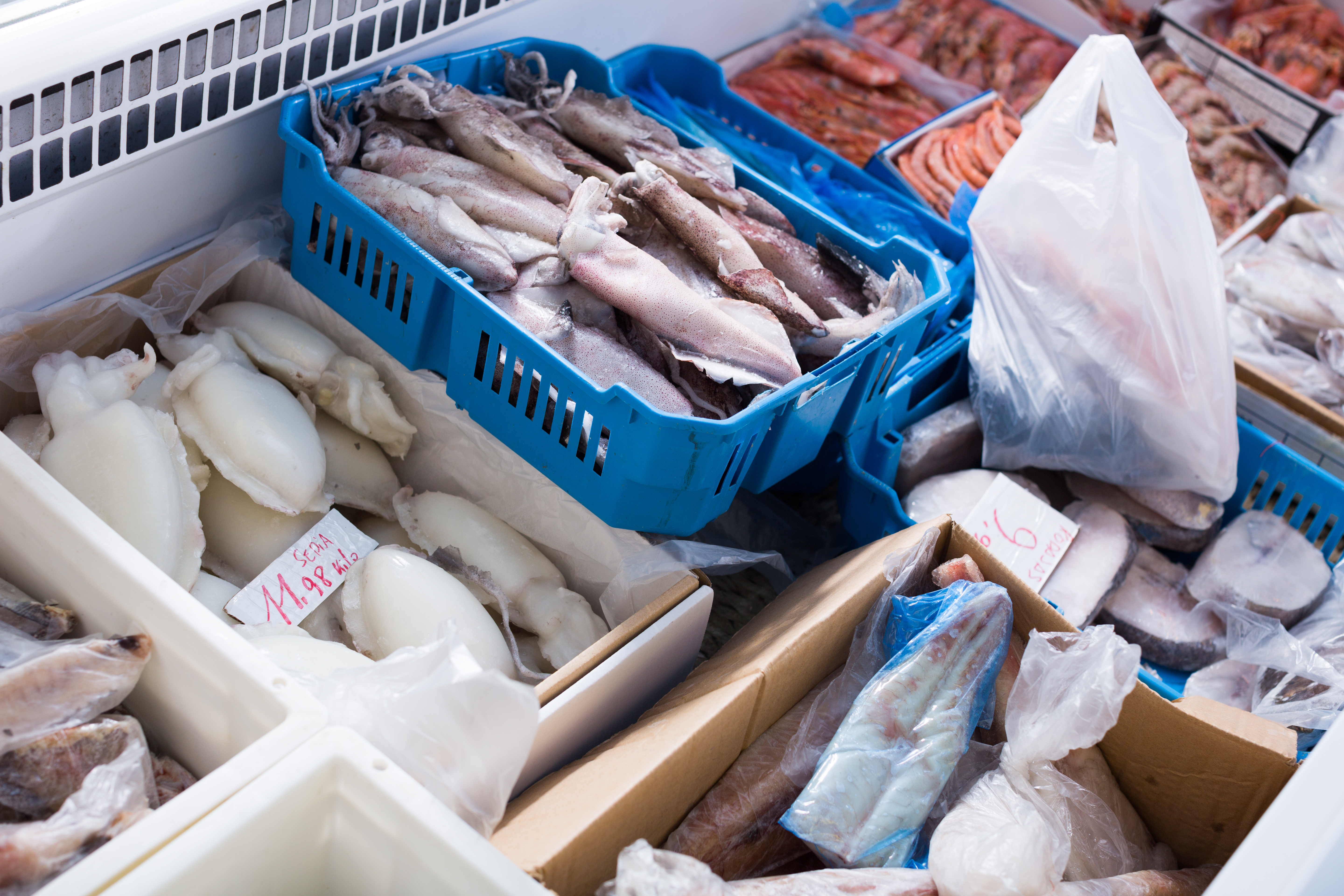Refrigerated truck transporting dairy, meat, and seafood using cold chain transport, refrigerated trucking services, and secure temperature-sensitive freight handling.