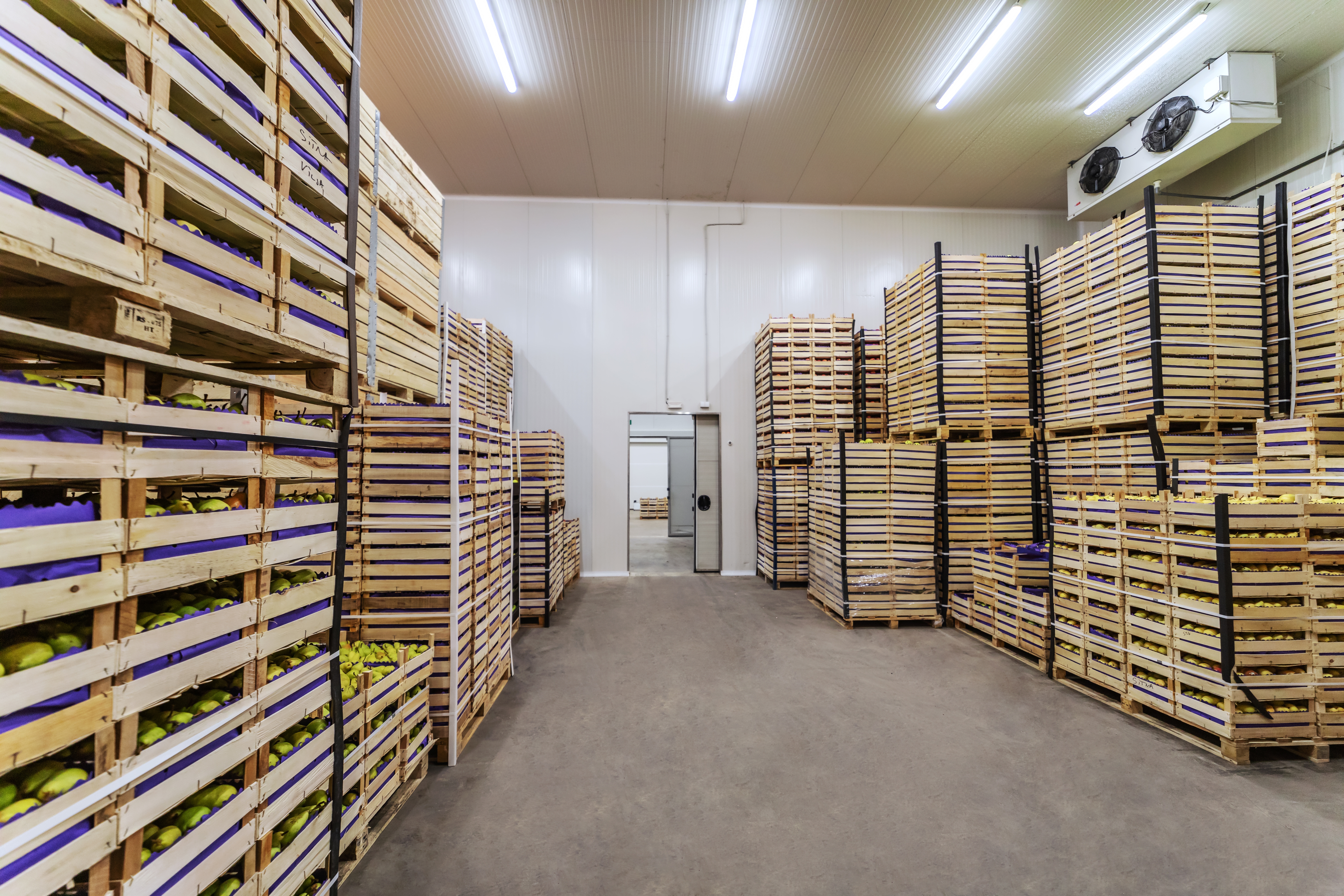 Short vs. long-term cold storage with cold storage and transport, refrigerated transport and storage, and temperature-sensitive freight.
